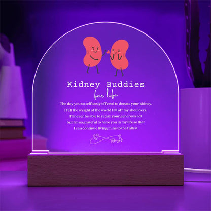 Kidney Buddies Acrylic Arch